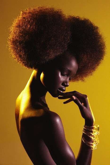 Afro www.facebook.com/hairboldacity www.thebrowntruth.wordpress.com: 