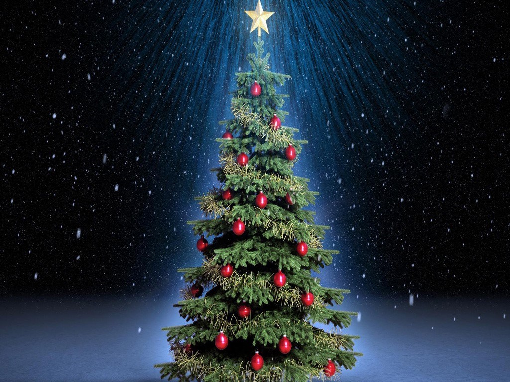 beautiful-Christmas-Trees 06.jpeg