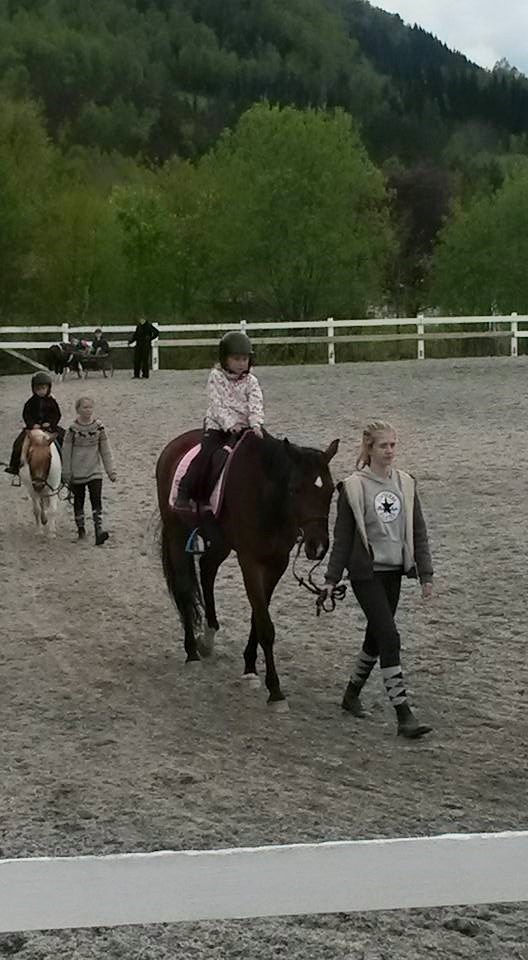 Oline Tanstad med Fireline fremst, Emilia Lorentzen med Amanda bak.