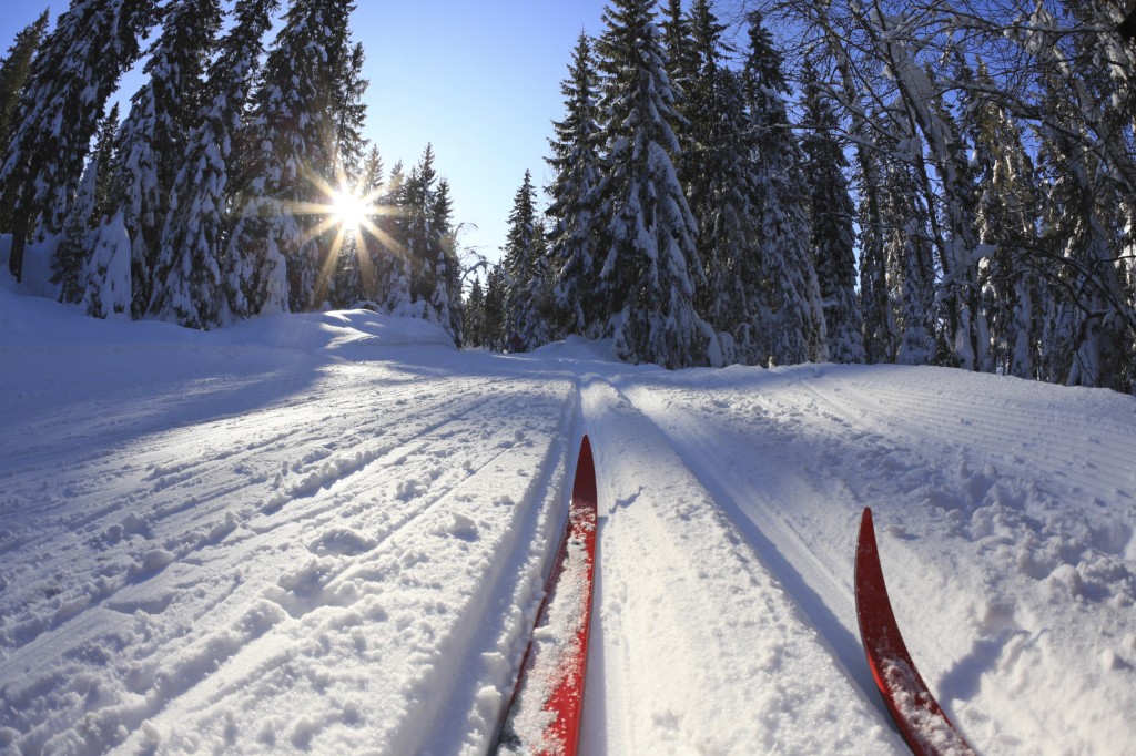 Trening i kulden